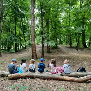 Pluszowy Miś image 2