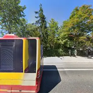 Świat bobasa Solskiego image 1
