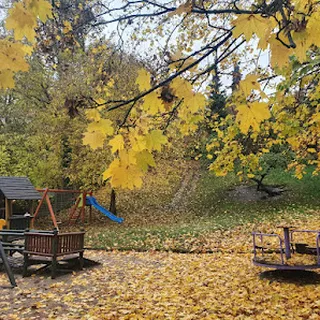 EU KIDS BIS image 3