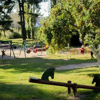 Przedszkole pod Muchomorkiem image 2