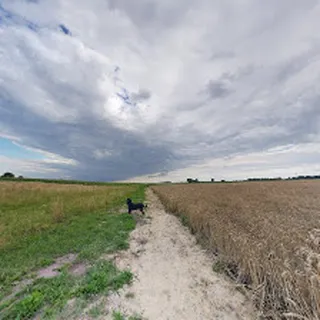 PRZEDSZKOLE "MISIAKI" image 1