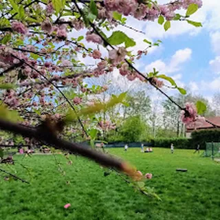 PRZEDSZKOLE NIEPUBLICZNE ,,ŁĄCZKA BĄCZKA" image 1