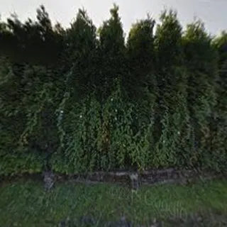 Przedszkole Publiczne Zgromadzenia Córek Bożej Miłości Im Ludwiki Binder image 2