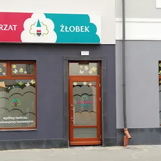 Leśny Skrzat image 3