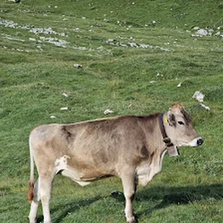 Z INNEJ BAJKI image 2