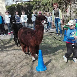 Tęczowy Kącik image 3