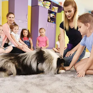 Akademia Przedszkolaka Max image 1