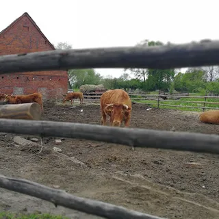 Przedszkole W Witoszycach image 1