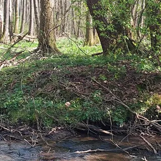Przedszkole Niepubliczne Ekoludki We Wrześnicy image 1