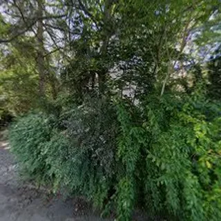 PUNKT PRZEDSZKOLNY "PTASIE RADIO" image 2