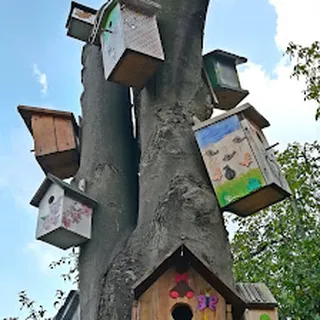 Przedszkole Nr 29 W Zabrzu image 2