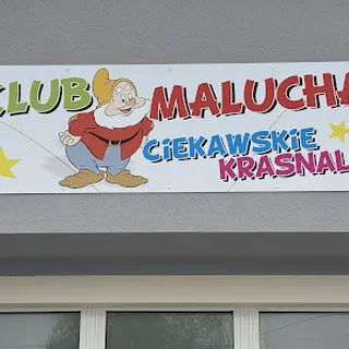 KLUB MALUCHA CIEKAWSKIE KRASNALE ALEXANDRA ŚWIĘCH - STĘPIEŃ image 1