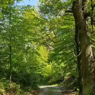 Klubik Malucha Kraina Marzeń image 3