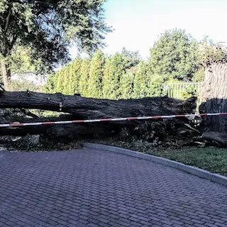 Oddział Przedszkolny Przy Publicznej Szkole Podstawowej Nr 5 Im Orląt Lwowskich W Krasnymstawie image 1