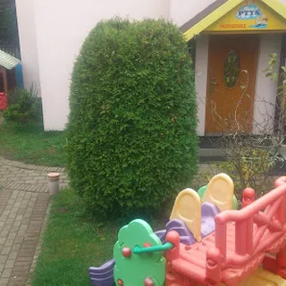 Punkt Przedszkolny Ptyś image 2