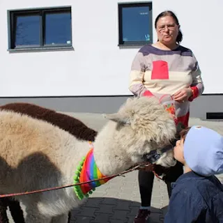 Przedszkole Samorządowe Nr 4 image 2