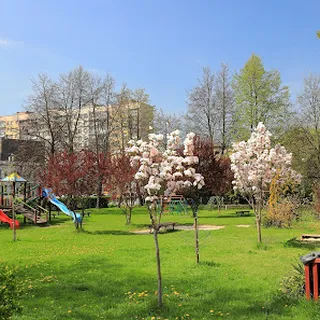 Przedszkole Publiczne Nr 15 Im Janiny Porazińskiej W Ostrowcu Świętokrzyskim image 2