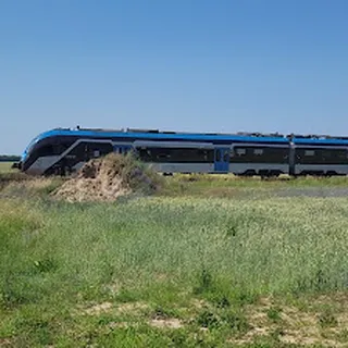 Przedszkole Niepubliczne W Dąbrówce Wlkp image 2