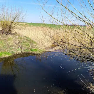 Przedszkole Publiczne Bajkowy Świat Z Siedzibą W Sadach Ul Kobylnicka 10C image 1