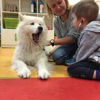 ŻŁOBEK MAŁE MISIE NR 2 image 1