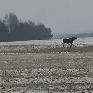 Samorządowe Przedszkole W Różanymstoku image 2