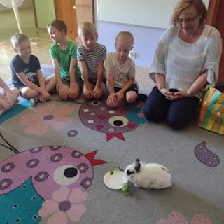 Przedszkole Niepubliczne Mini-Martynka W Lublinie image 4