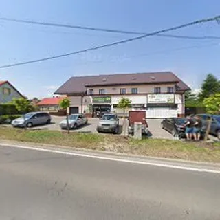 mała Koala image 5
