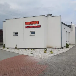 TERAPEUTYCZNY PUNKT PRZEDSZKOLNY "MISIOWE PRZEDSZKOLE" image 2