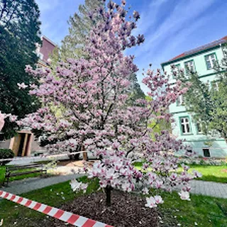 Publiczne Przedszkole W Branicach Z Oddziałami Zamiejscowymi W Bliszczycach I Wysokiej image 1