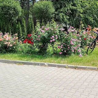 GMINNE PRZEDSZKOLE IM. JANA BRZECHWY W RADZIEJOWICACH image 2