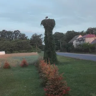 PRZEDSZKOLE W STAREJ RÓŻY image 1