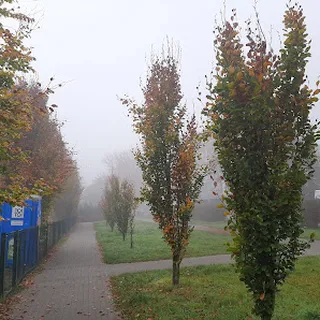 Przedszkole Miejskie Nr 2 Im Kawalerów Orderu Uśmiechu W Będzinie image 2