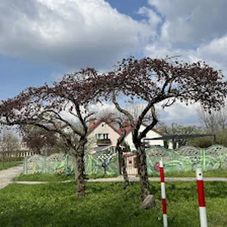 Żłobek Montessori BOSE STÓPKI image 3