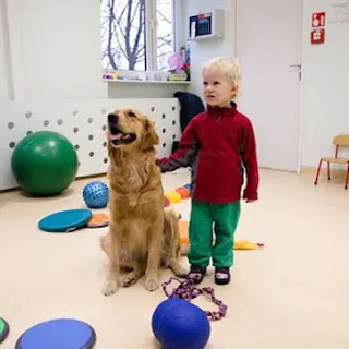 Innowacyjne Przedszkole Sensoryczne Plastynka image 2