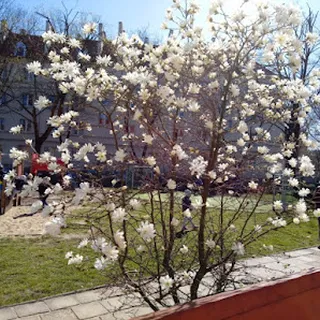 Przedszkole Nr 48 image 3