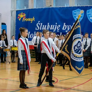 PROMYK image 1