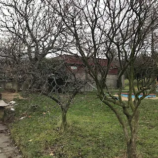 Przedszkole Niepubliczne Kajtek image 1