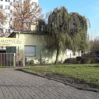 MOTYLEK image 1