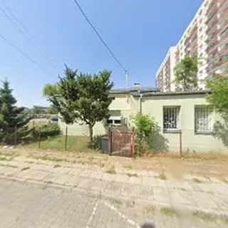 MOTYLEK image 2