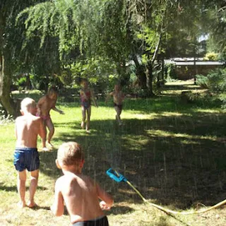 Leśne Elfiki image 2