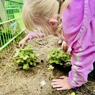 Przedszkole Niepubliczne Artystyczno-Ekologiczne Bajkowe Ogrody Urszula Steglińska - miniatura 11