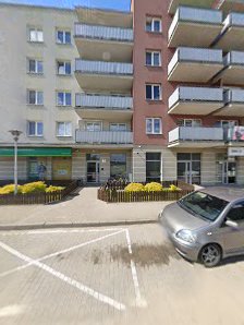 Akademia Myszki Miki - Agnieszka Rusin - zdjęcie 1