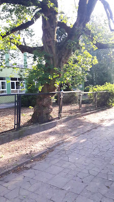 Przedszkole Miejskie Nr 4 - zdjęcie 1