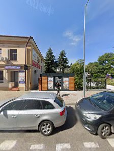 Tajemniczy Ogród - zdjęcie 1