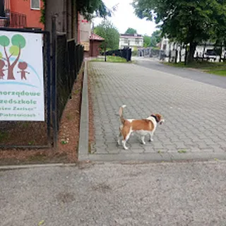 Samorządowe Przedszkole w Piotrowicach image 1