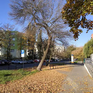 PRZEDSZKOLE INTEGRACYJNE NR 314 image 1