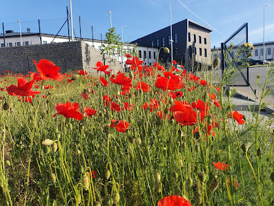 PRZEDSZKOLE PUBLICZNE W PRZYBYSŁAWICACH - zdjęcie 1