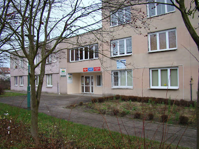 NIEPUBLICZNE PRZEDSZKOLE JĘZYKOWE W WIŚNIOWYM SADZIE - zdjęcie 1