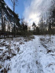 Przedszkole Nr 8 W Piasecznie - zdjęcie 1