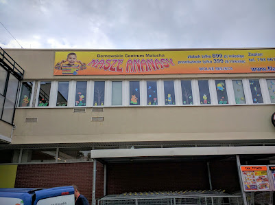 PRZEDSZKOLE PUBLICZNE "NASZE ANANASY" - zdjęcie 1